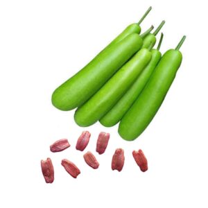 Calabash Seeds Bottle Gourd