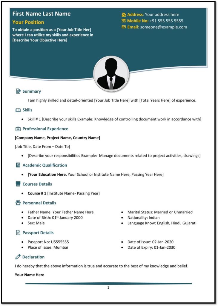 Professional cv template